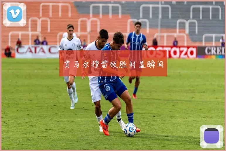 贾马尔穆雷致胜封盖瞬间