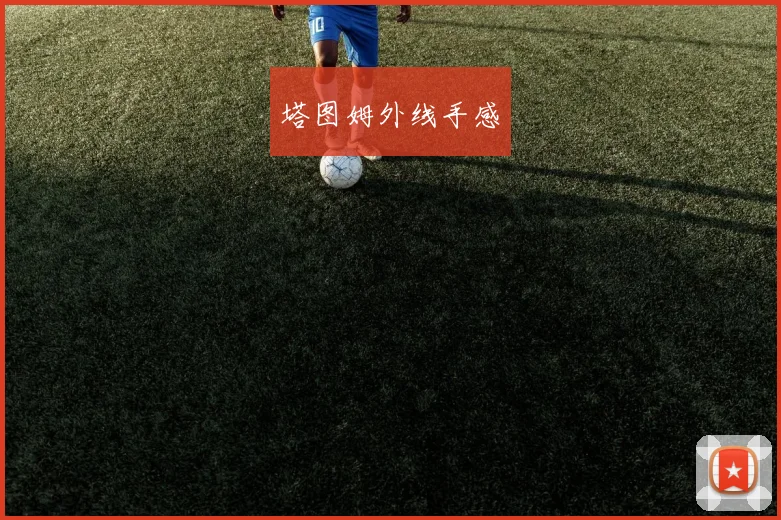 塔图姆外线手感