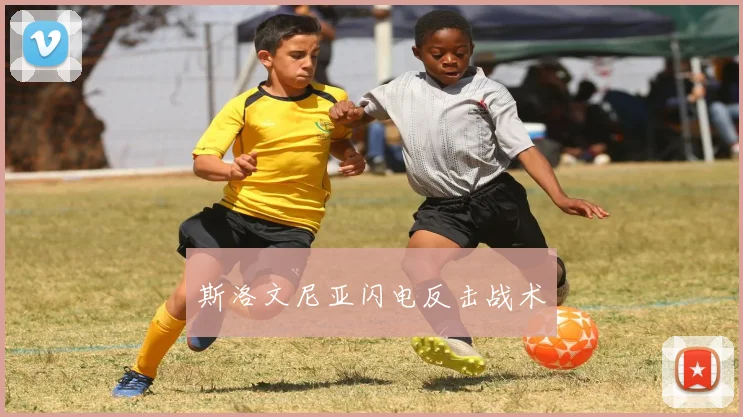 斯洛文尼亚闪电反击战术