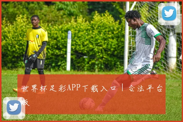 世界杯足彩APP下载入口｜合法平台版