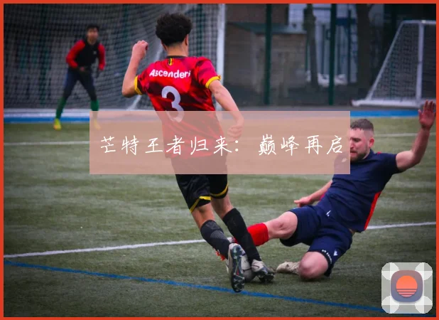 芒特王者归来：巅峰再启