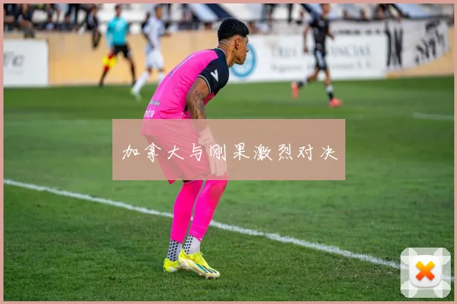 加拿大与刚果激烈对决