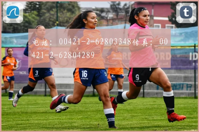 电话：00421-2-62803348传真：00421-2-62804289