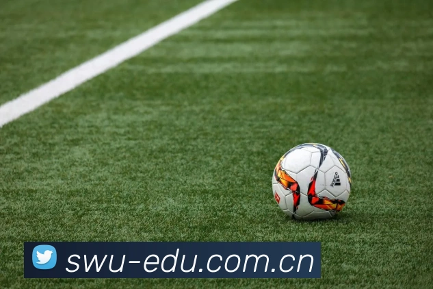 九游体育 (中国)官网 - JIUYOUSPORTS平台入口App下载