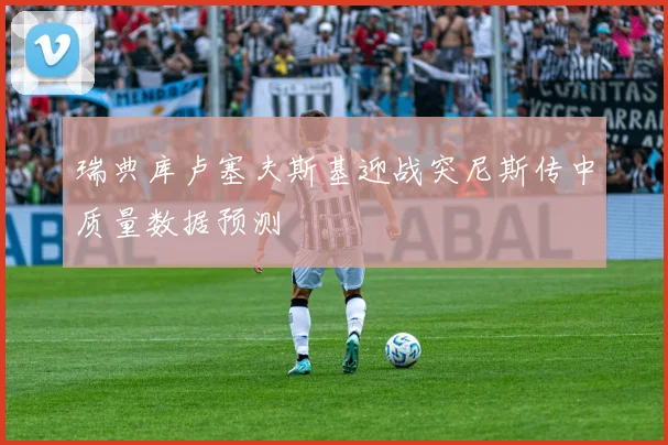 瑞典库卢塞夫斯基迎战突尼斯传中质量数据预测