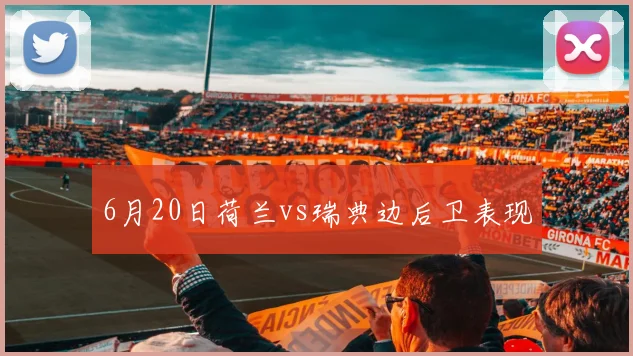 6月20日荷兰vs瑞典边后卫表现