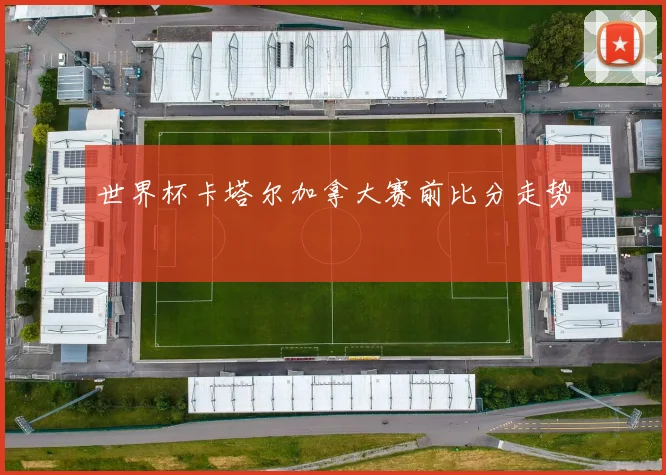 世界杯卡塔尔加拿大赛前比分走势
