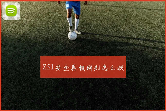 Z51安全真假辨别怎么找