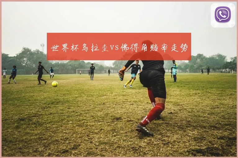世界杯乌拉圭vs佛得角赔率走势